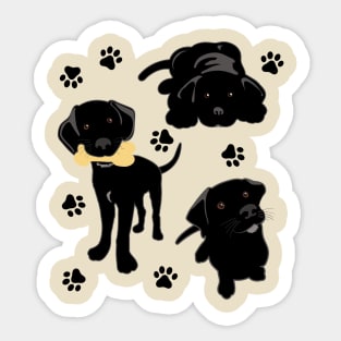 Three Black Lab Puppies Sticker